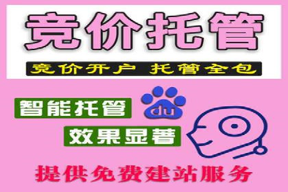 专业SEM托管：企业广告投放的明智之选